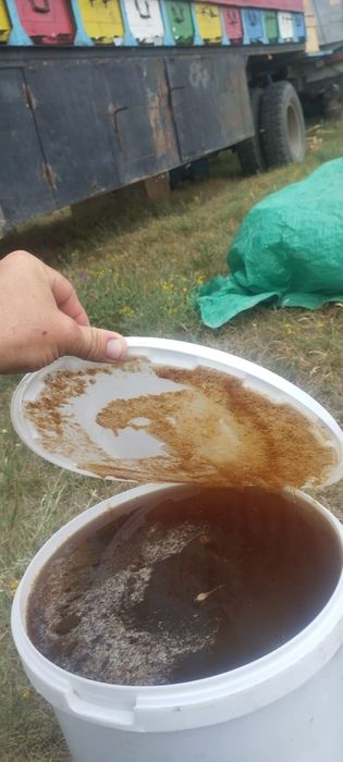 Мёд натуральный 2025 года