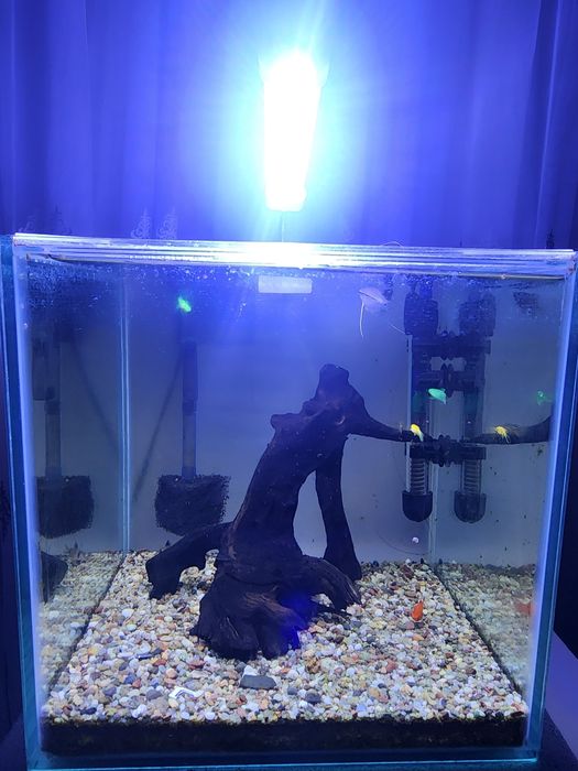 Akvarium Sotiladi 27 litr komplekt xamma narsasi bilan