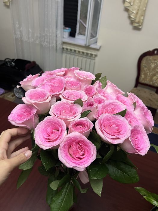 Свежие цветы розы