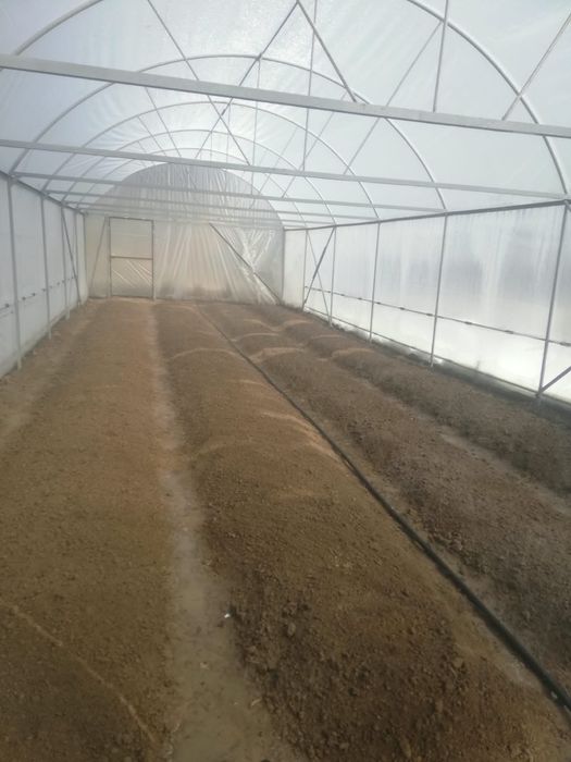 Продам Парник срочно.