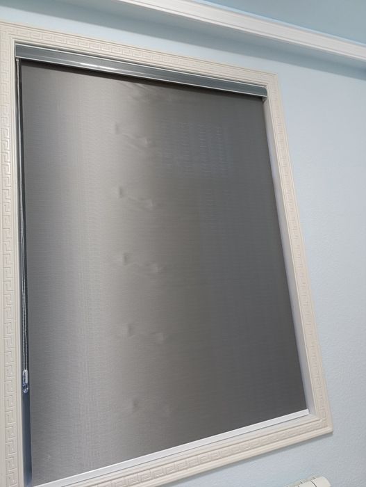 Однотонный Ролло