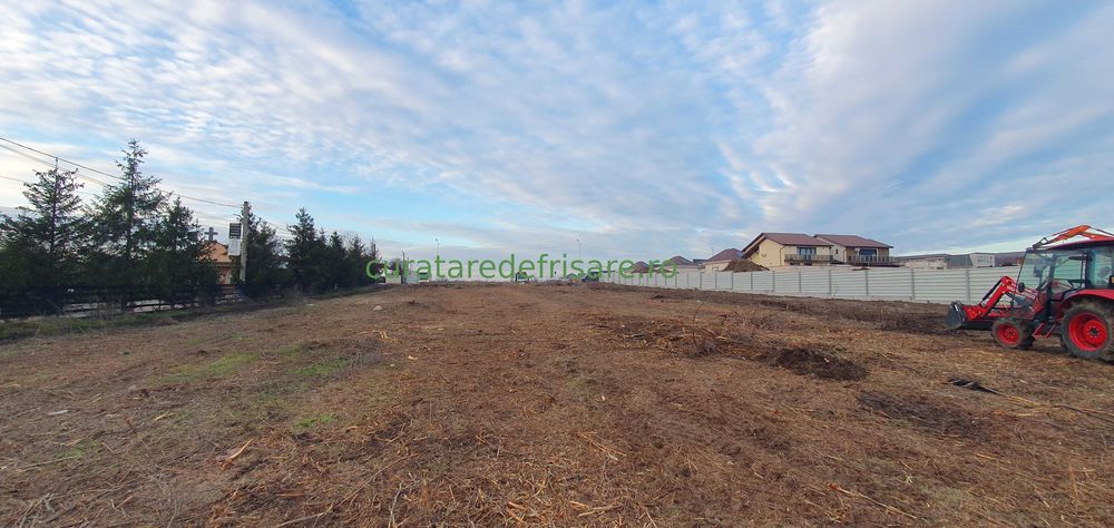 Salubrizare terenuri, curatare vegetatie, defrisare si tocare, cosire