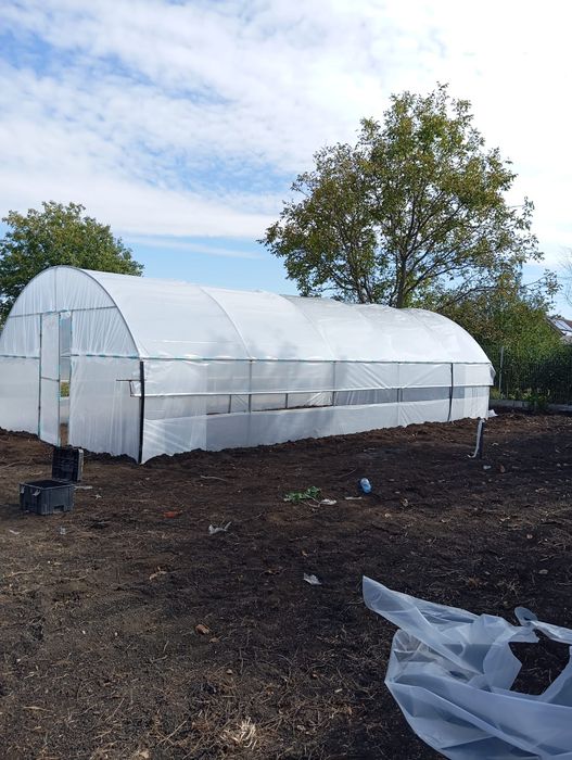 solare legume 60 ron