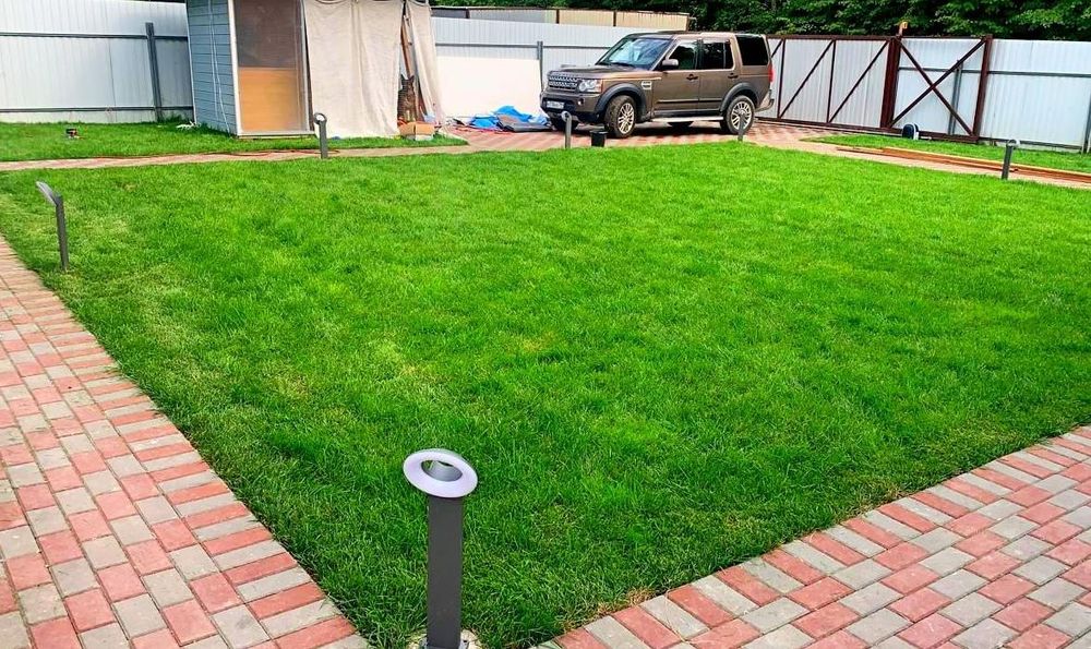 Качественный газон от питомника Алматы