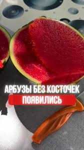 Urugʻsiz tarvuzLar