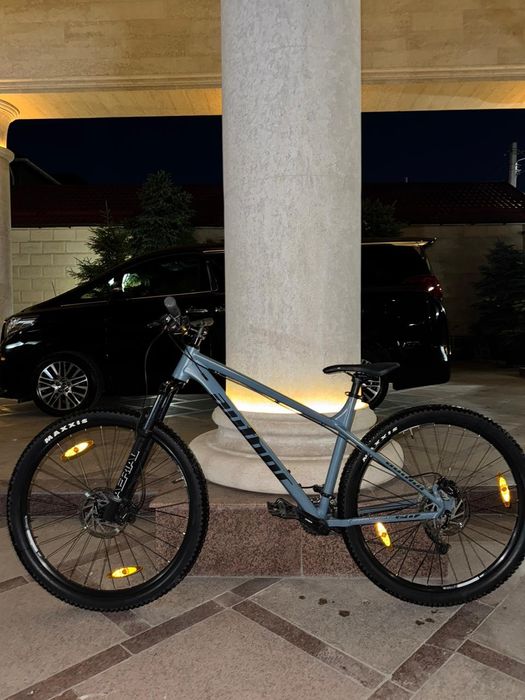 Author Versus 2.0 2024