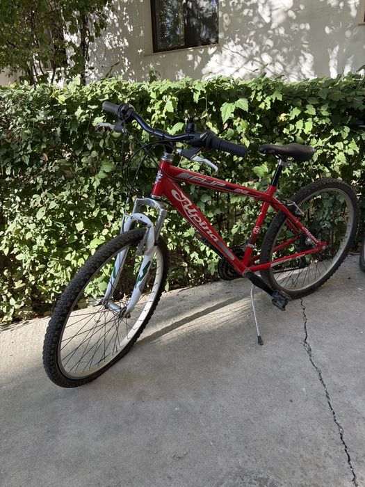 Bicicleta Mountain Bike Alpina