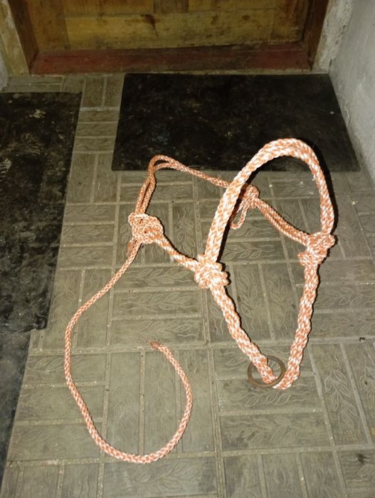 Продам арканы для лошадей