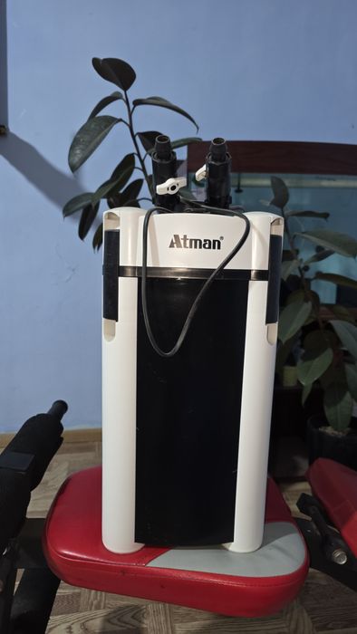 Внешний бакфильтр