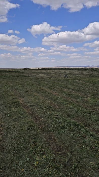 Продаётся Фазенда КХ