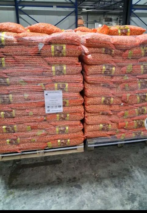 Vând arpagic [seminte de lucerna usturoi