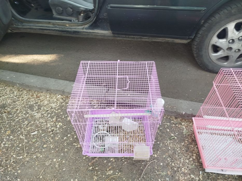 Клетки для папугаев