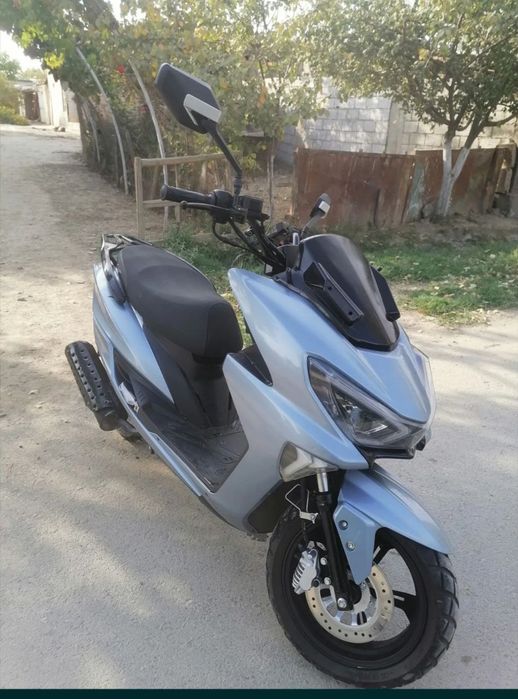 Tiger skuter sotiladi