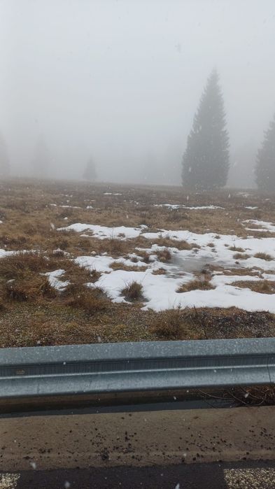 Vand 2 parcele Belis