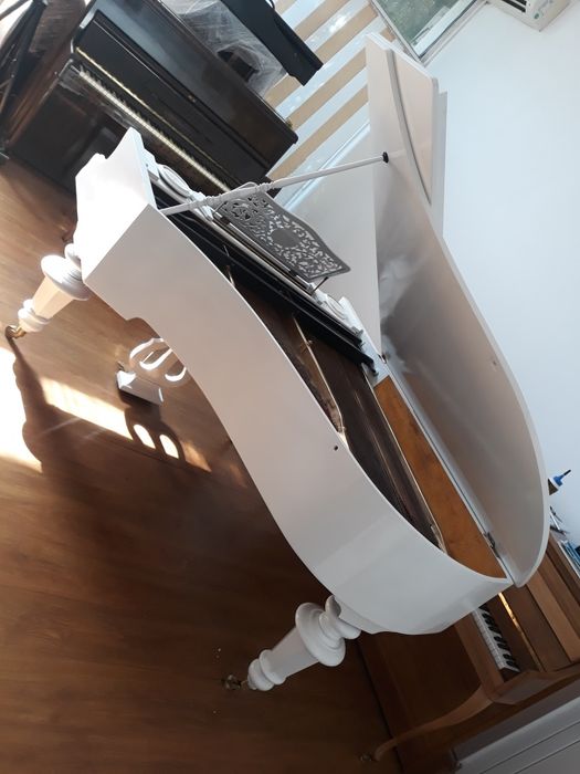 Piane & pianine, pe alb sau pe negru (transport gratuit, garanție)