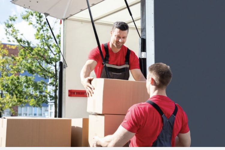 Грузчики + Газиль привозка