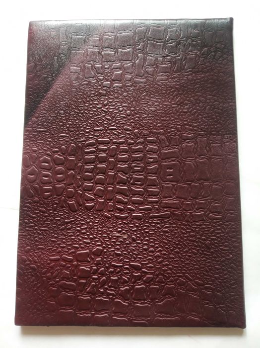 Папка "Алма-Ата" советская