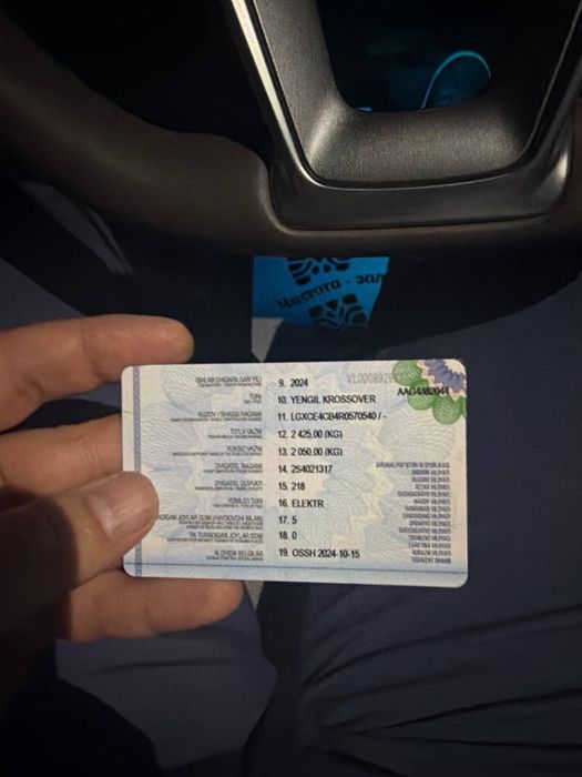 BYD Song Plus EV Champion 2024 — 5