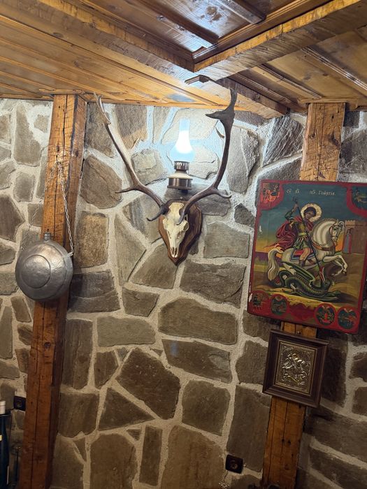 Трофеи от благороден елен