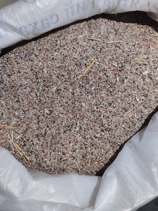 Продам зерно отходы