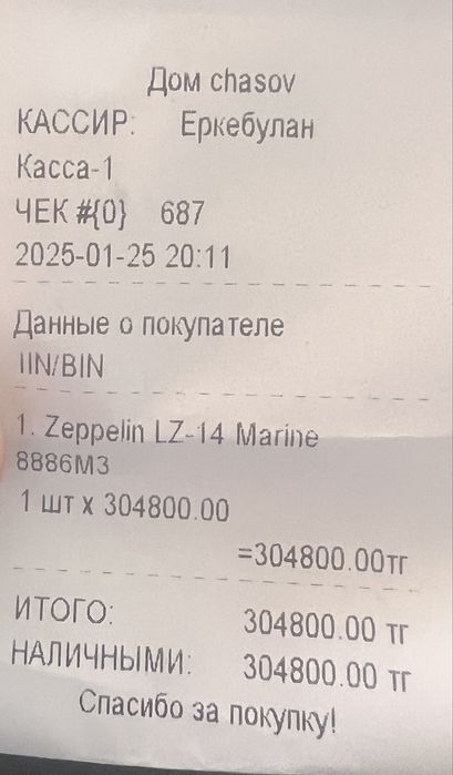 Часы мужские Zeppelin