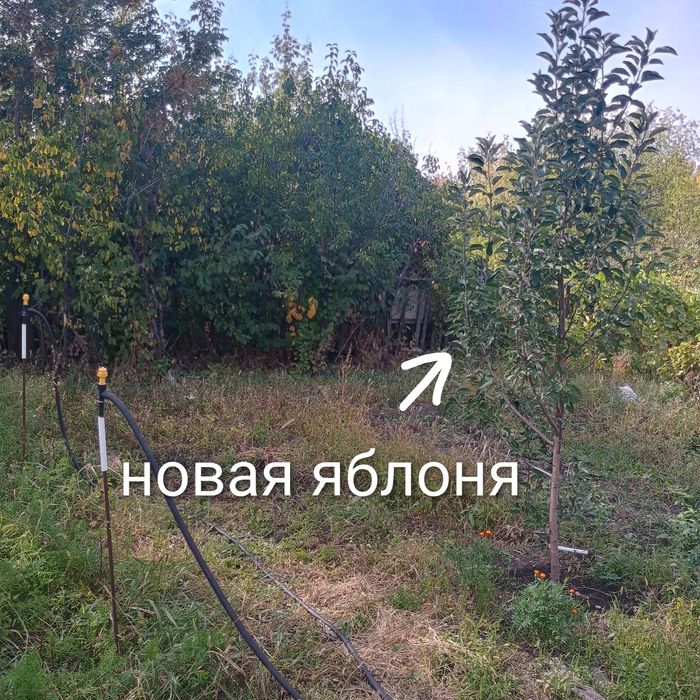 Продам дачу 19 маршрут