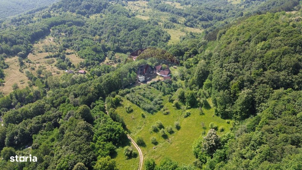 Castel de Vanzare IN MARAMURES
