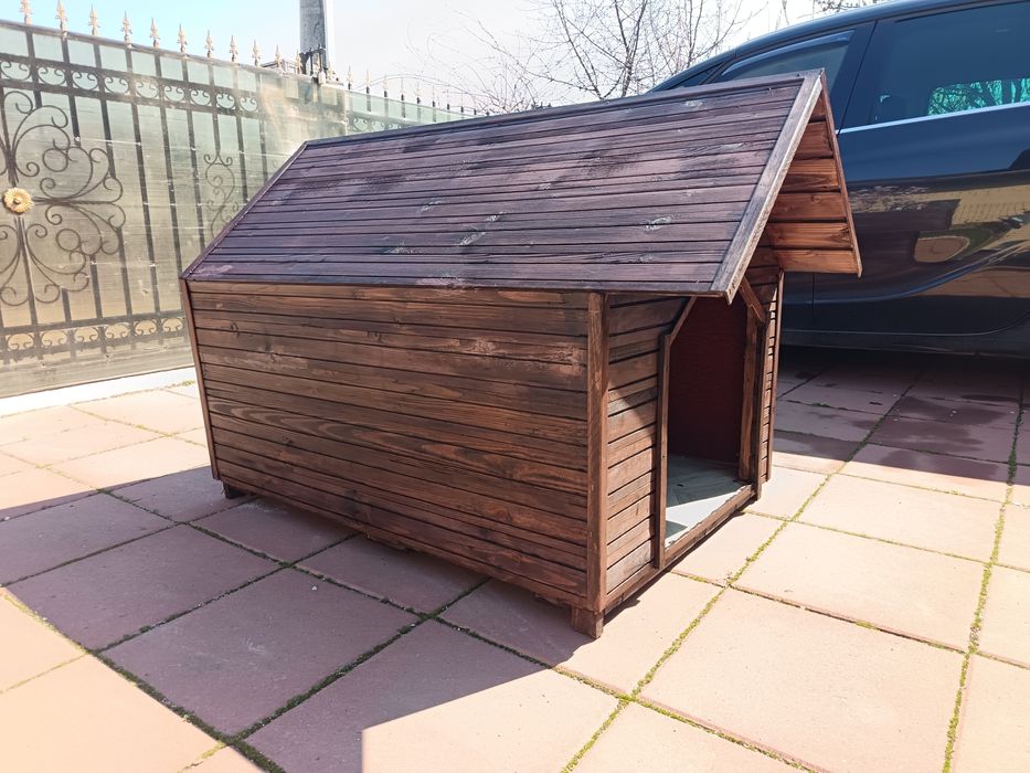 Cușcă câine, coteț