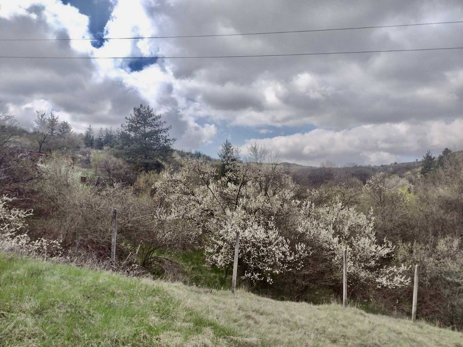 Продава се Парцел в с. Клисура, Област София-град - 537 кв.м за 28 €/кв.м - Снимка #2