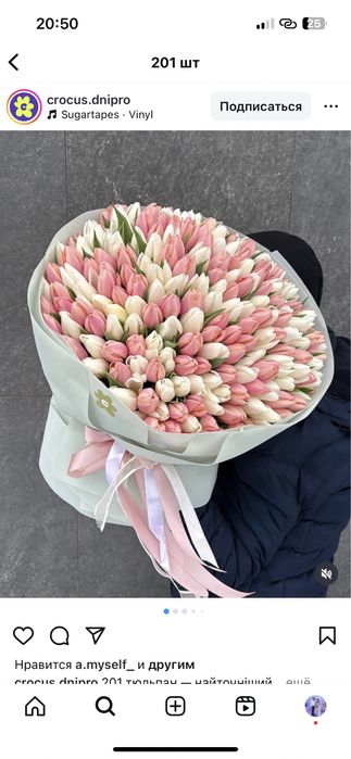 Тюльпаны свежий оптом