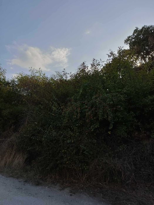 Продава се Парцел в Варна, м-т Евксиноград - 520 кв.м за 260 €/кв.м - Снимка #3