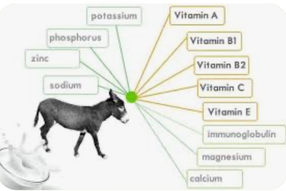 Lapte de Măgăriță