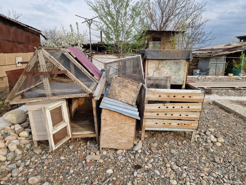 Кролятник и цыплятник