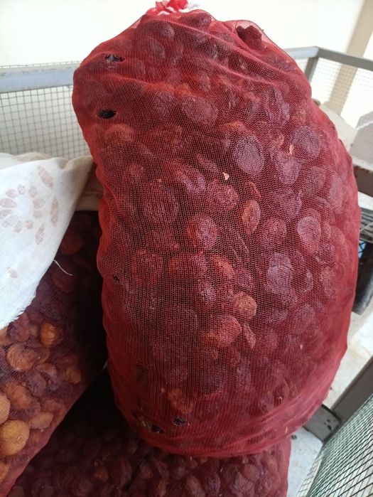 Ширин у́рикдан ТУРШАК. Дориланмаган табиий куритилган