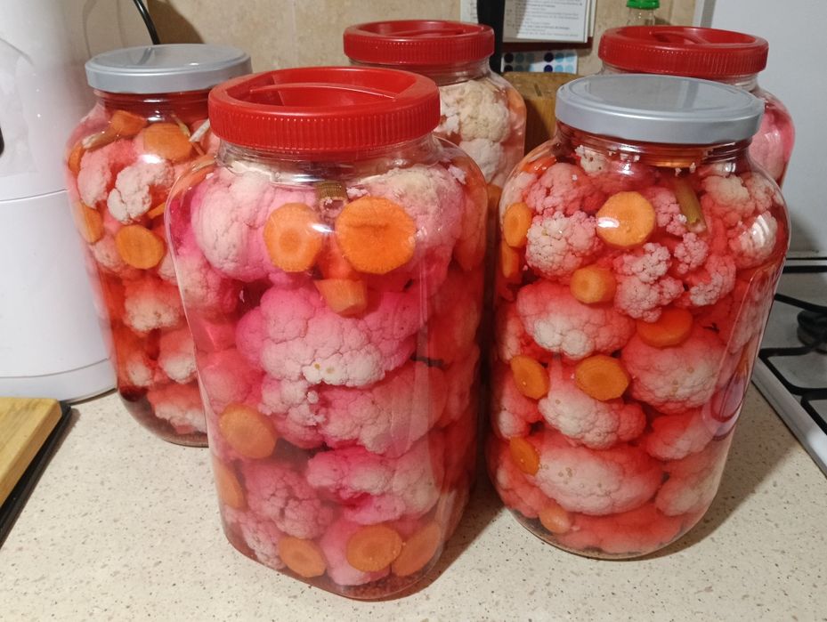 Conopida murats ,bidon 5L