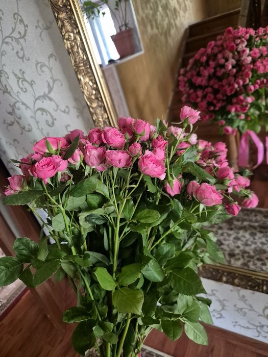 Цветы , букет из свежих спрей роз