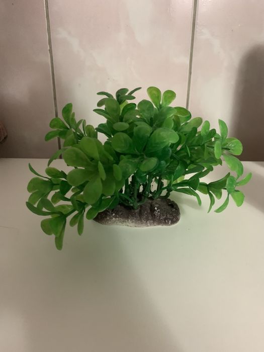 Декорация для аквариума/террариума