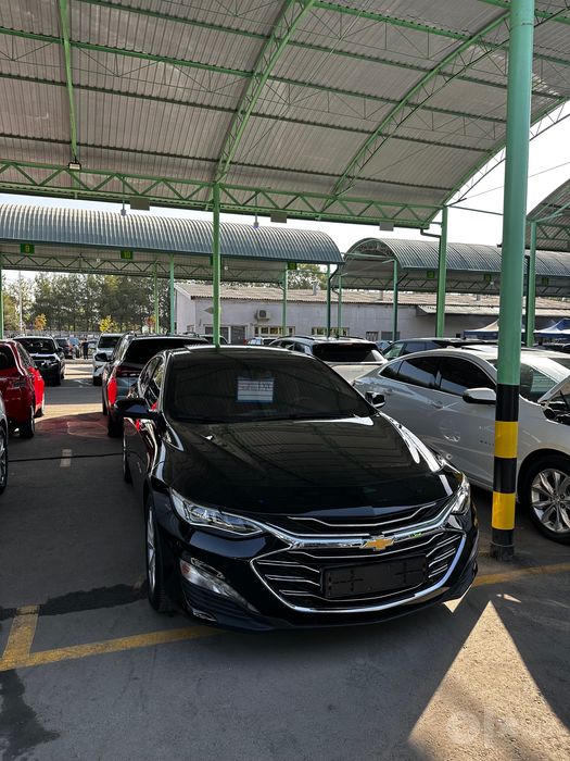 Malibu 2 primer 2021
