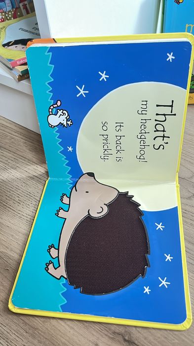 Детски книжки that’s not my…