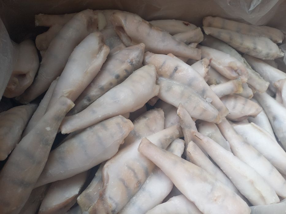 Тушка берша судака