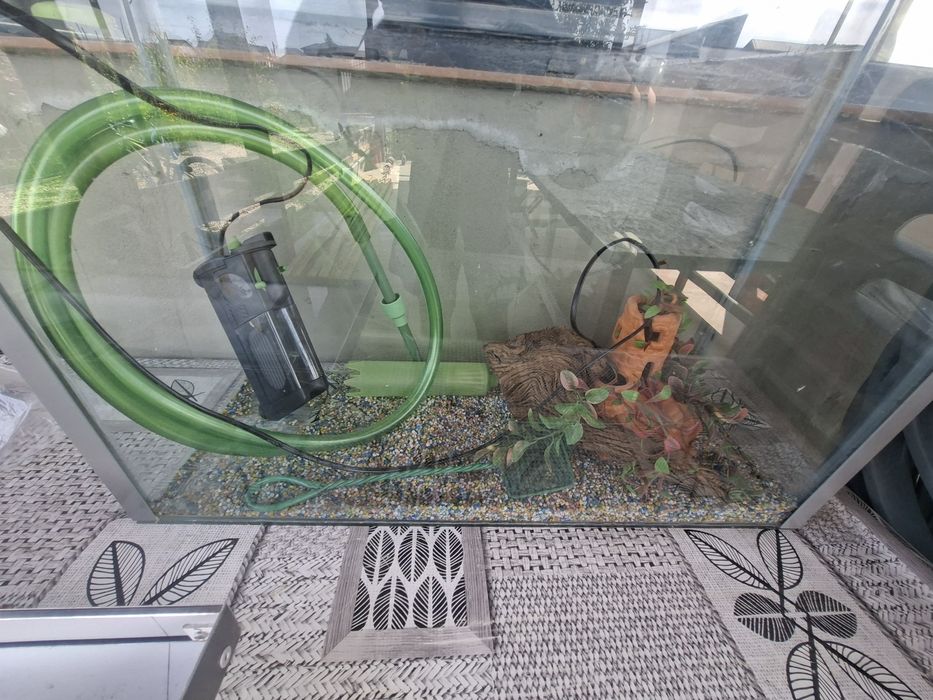 Acvariu pești echipat 60 litri