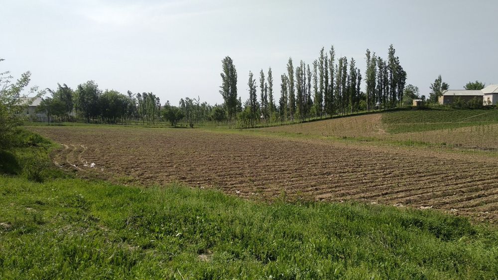 Ohongaronda shaharga yaqin joyda ajoyib yer sotiladi kelishimiz narxin