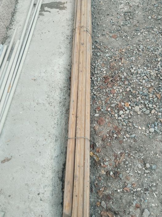 Плунтеса для дома продам