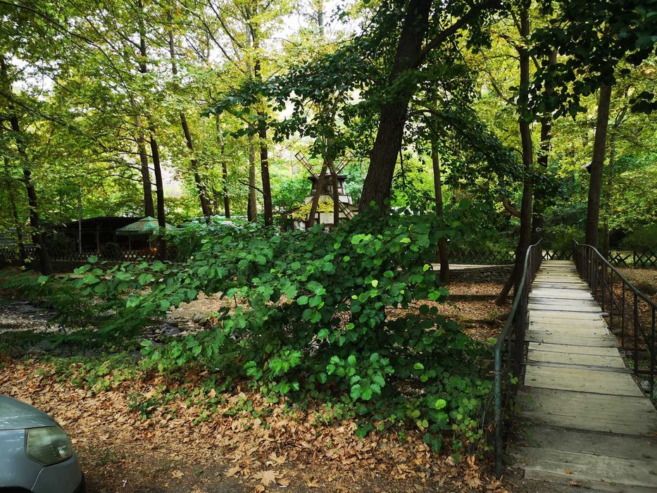 Парцел 1 линия река  с. Първенец