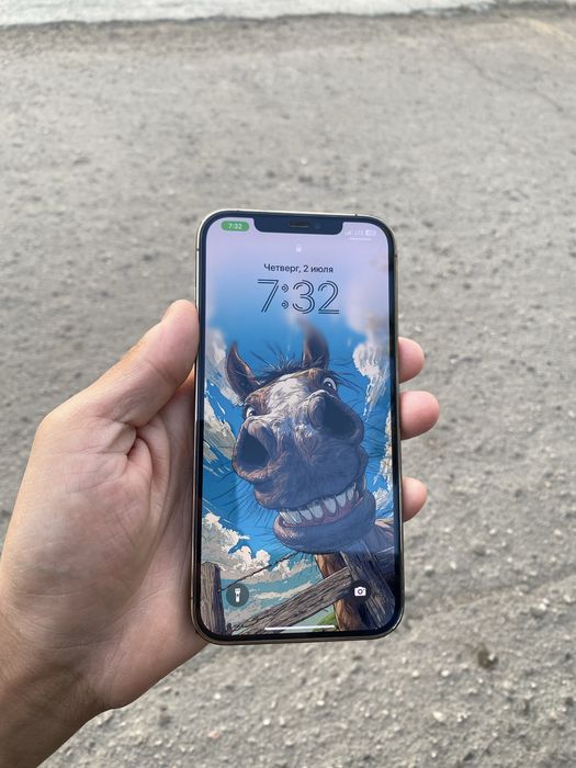 iphone 12 pro max 256gb