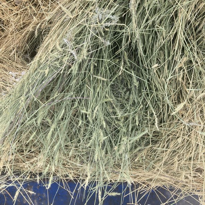 Продаю сено тюки  и рулон