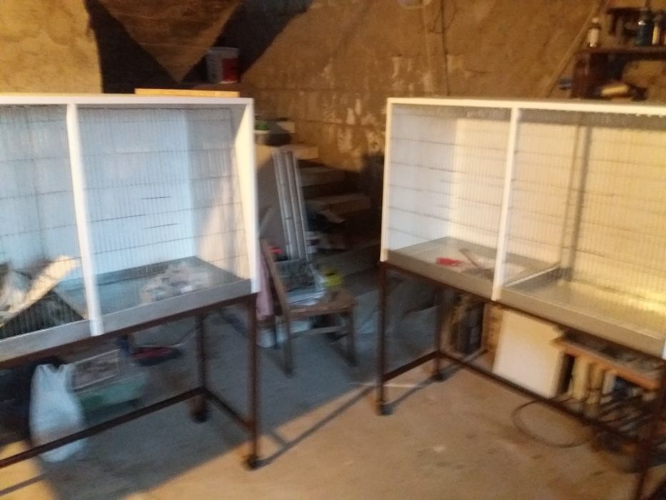 Colivii pentru păsări de apartament