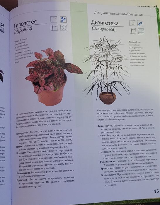 Книга про цветы и уход за ними