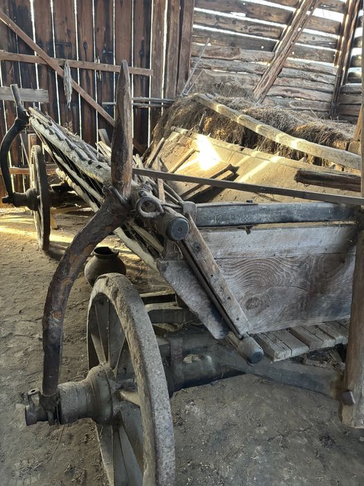 Decorațiune de căruța