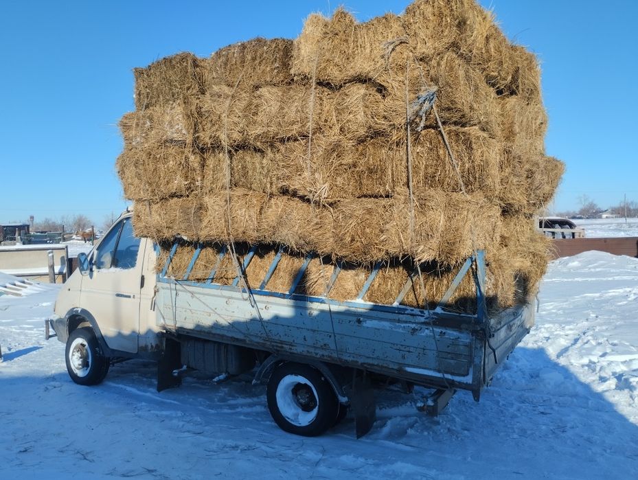 Тюки для животных